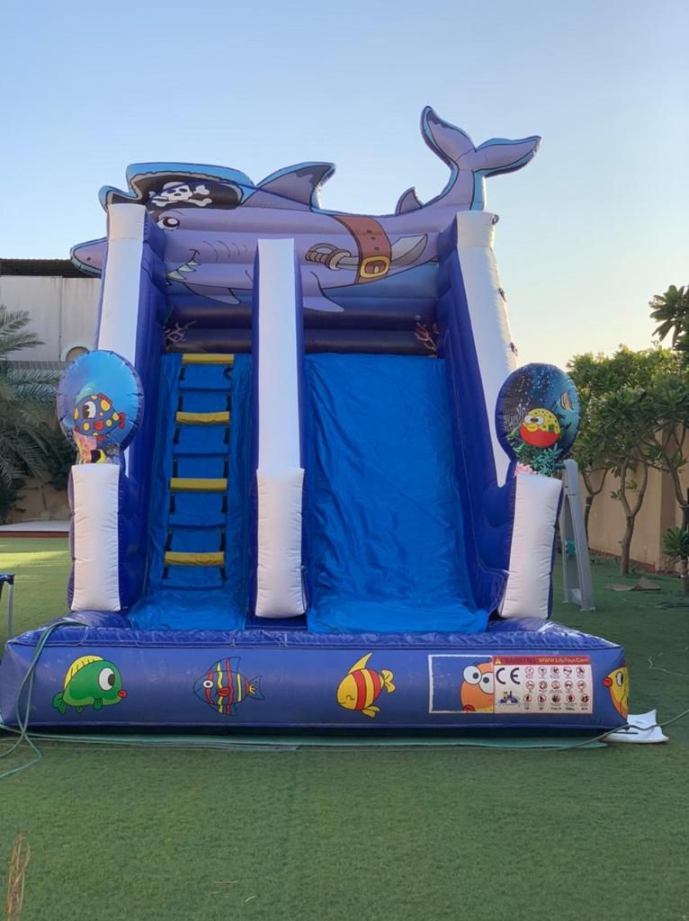 Shark water slide